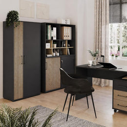 Schildmeyer Aktenschrank Hank 701971, Schwarzmatt/Akustikpaneel Optik, 65 X 41 X 163,6 Cm