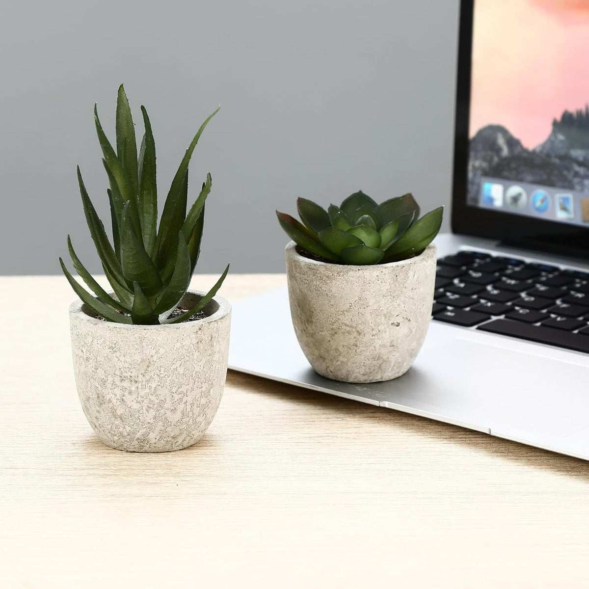 5 Stück Kunstpflanze, Mini Künstliche Pflanzen Schlangenzunge, Agave Sukkulente, Eagle Claw Aloe, Künstliche Pflanzen Für Schlafzimmer Büro Dekoration