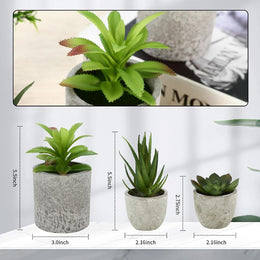 5 Stück Kunstpflanze, Mini Künstliche Pflanzen Schlangenzunge, Agave Sukkulente, Eagle Claw Aloe, Künstliche Pflanzen Für Schlafzimmer Büro Dekoration