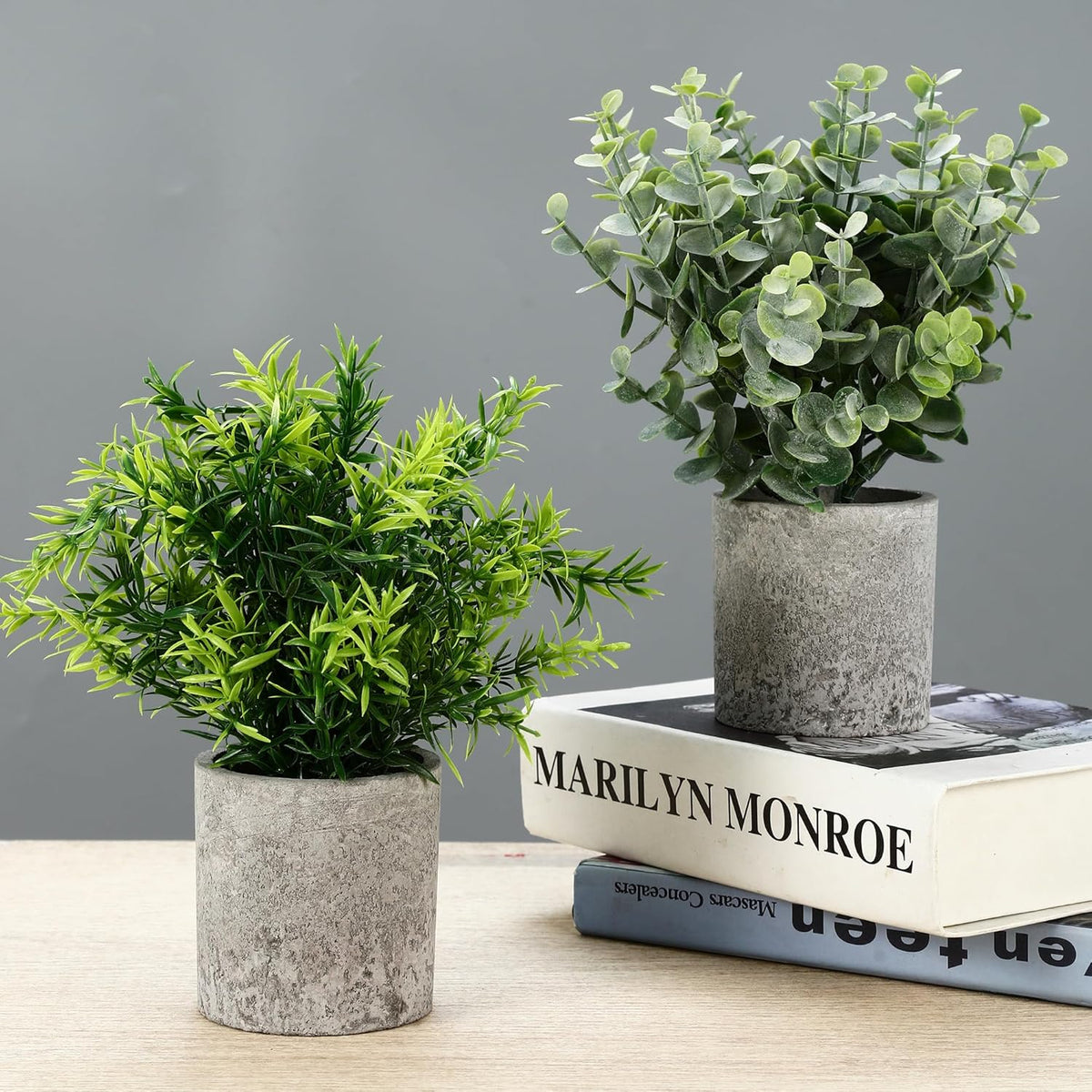 5 Stück Kunstpflanze, Mini Künstliche Pflanzen Schlangenzunge, Agave Sukkulente, Eagle Claw Aloe, Künstliche Pflanzen Für Schlafzimmer Büro Dekoration