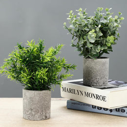 5 Stück Kunstpflanze, Mini Künstliche Pflanzen Schlangenzunge, Agave Sukkulente, Eagle Claw Aloe, Künstliche Pflanzen Für Schlafzimmer Büro Dekoration