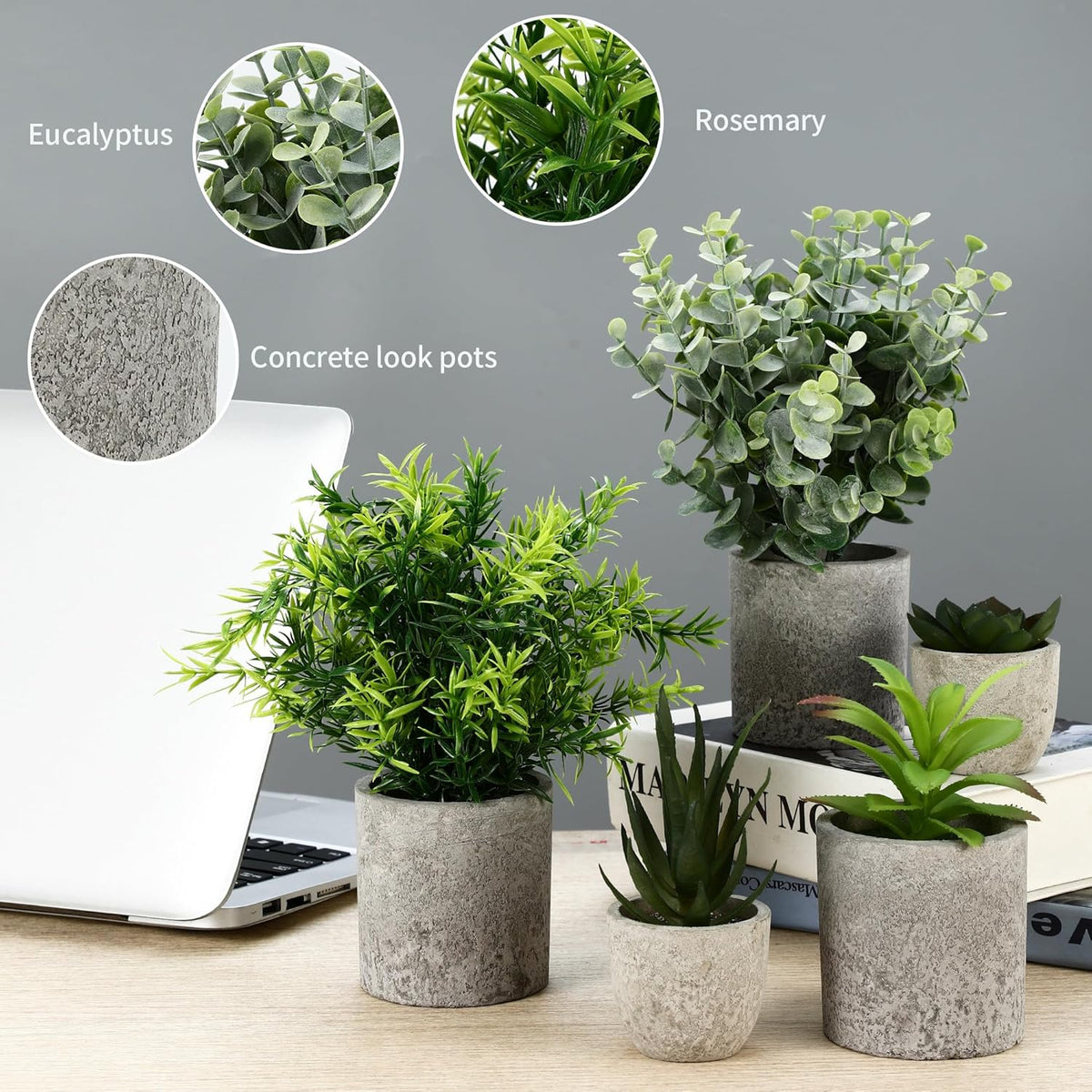 5 Stück Kunstpflanze, Mini Künstliche Pflanzen Schlangenzunge, Agave Sukkulente, Eagle Claw Aloe, Künstliche Pflanzen Für Schlafzimmer Büro Dekoration